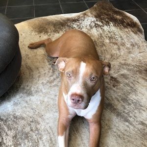 Meet your Posher, Karah